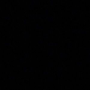 Meet your Posher, Selma